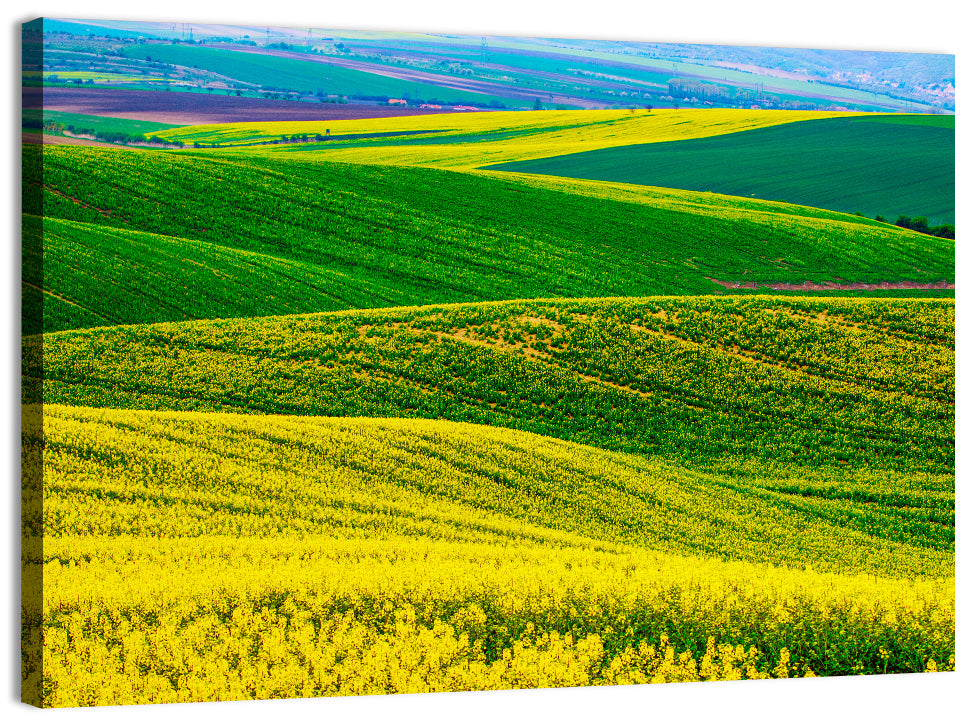 Spring Rapeseed Fields Wall Art