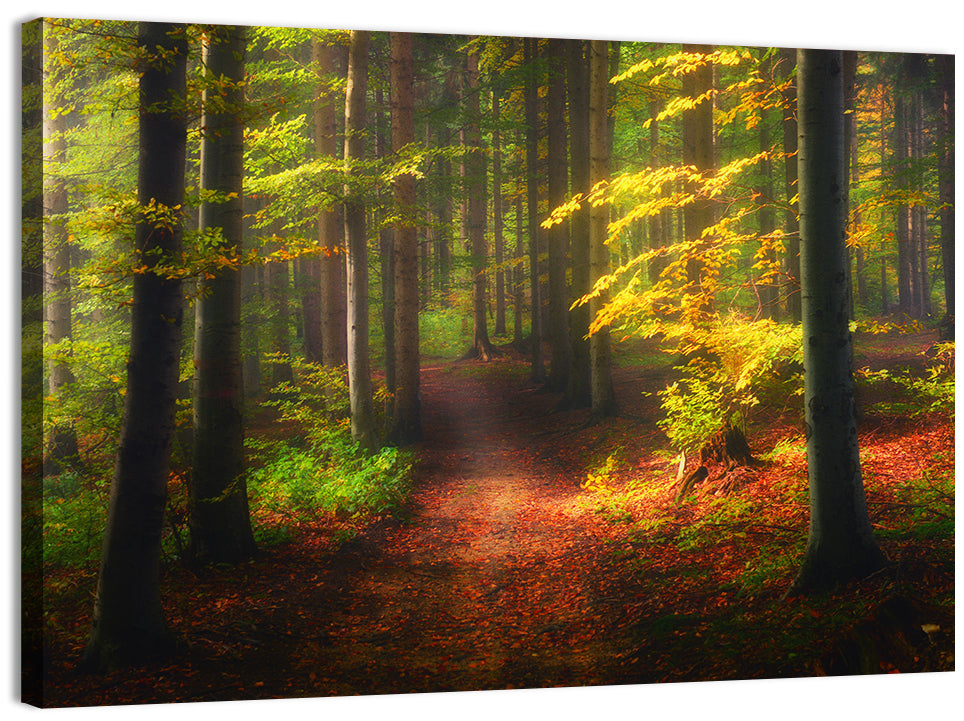 Autumn Forest Pathway Wall Art