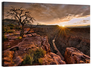 Arizona Grand Canyon Wall Art