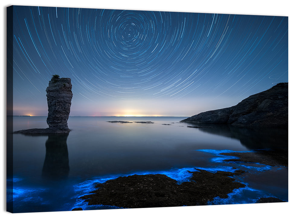 Fluorescent Sea Reef Wall Art, canvas print, landscape
