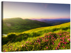 Alpine Meadow Sunrise Wall Art