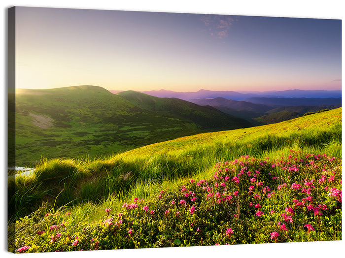 Alpine Meadow Sunrise Wall Art as a canvas print