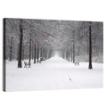 Snow Covered Park Lane Wall Art