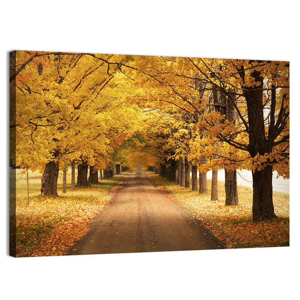 Golden Autumn Road Wall Art