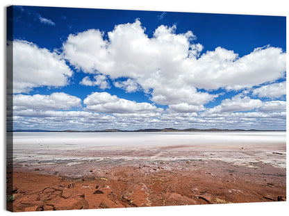 Dry Salt Lake Eyre Wall Art