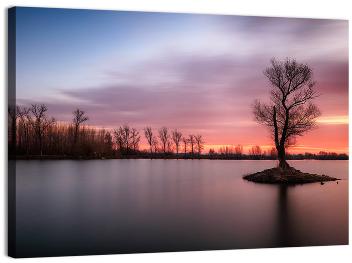 Solitary Island Tree at Sunset Wall Art as a canvas print
