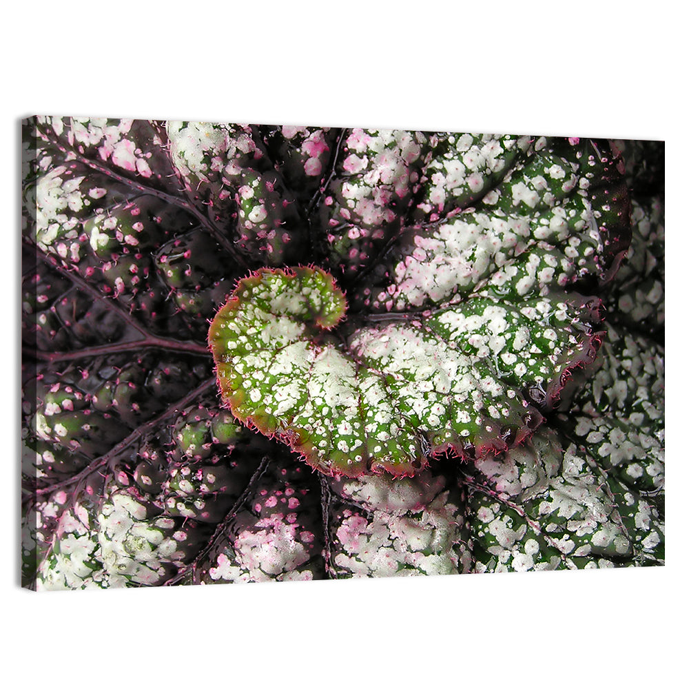 Begonia Leaf Spiral Geometry Wall Art, canvas print, landscape