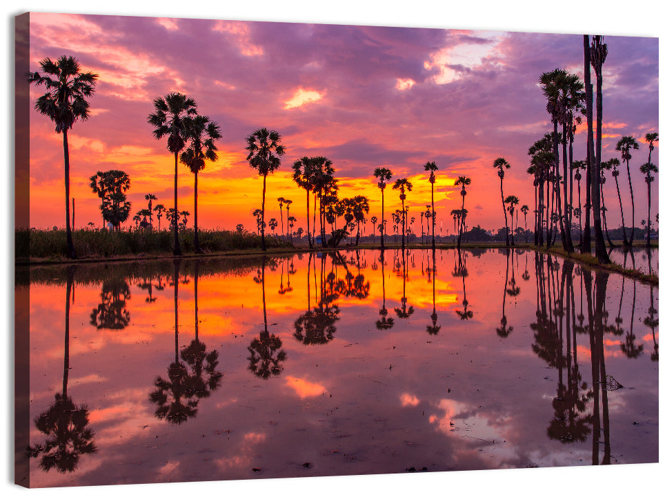 Palm Trees Sunset Reflection Wall Art