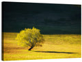 Lone Tree in Golden Meadow Wall Art