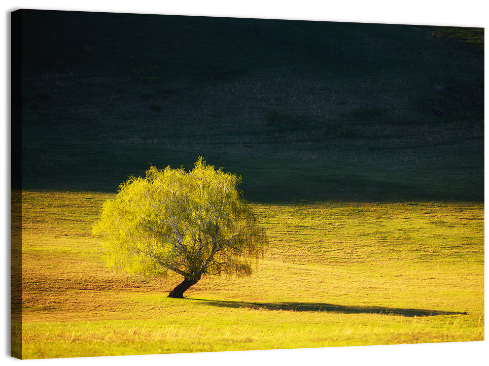 Lone Tree in Golden Meadow Wall Art, canvas print, landscape