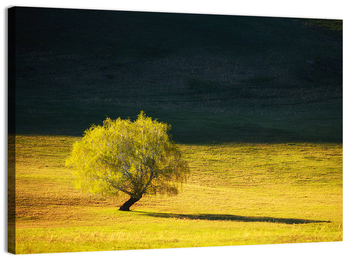 Lone Tree in Golden Meadow Wall Art as a canvas print