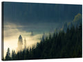 Conifer Valley Morning Mist Wall Art