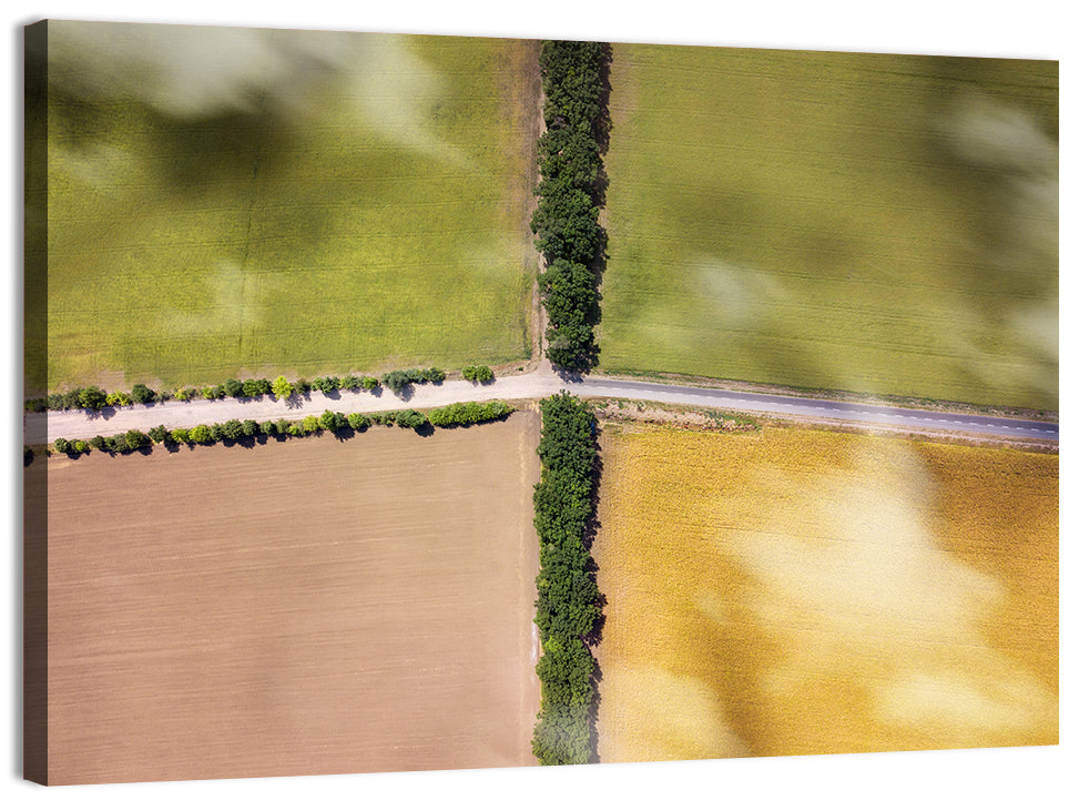 Aerial Farmland Quadrants Wall Art, canvas print, landscape