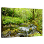 Mossy Stream Through Forest Wall Art