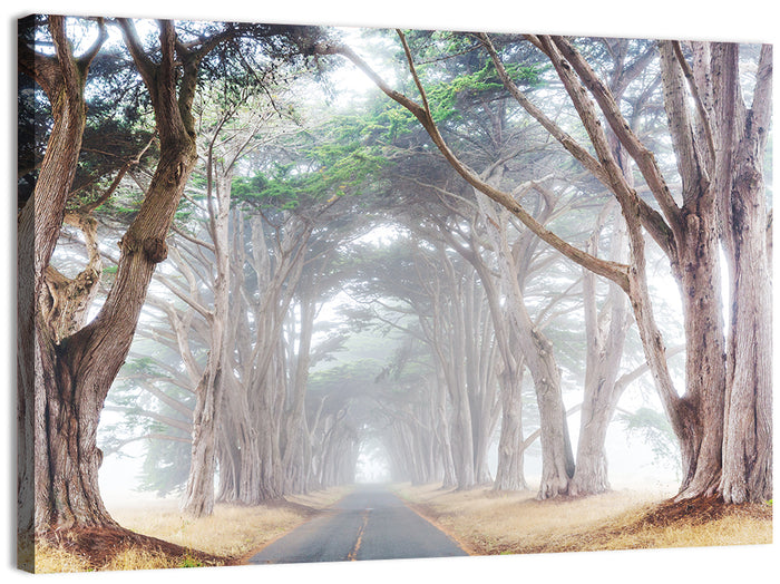 Misty Morning Alleyway Wall Art as a canvas print