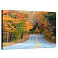 Autumn Road in New Hampshire Wall Art
