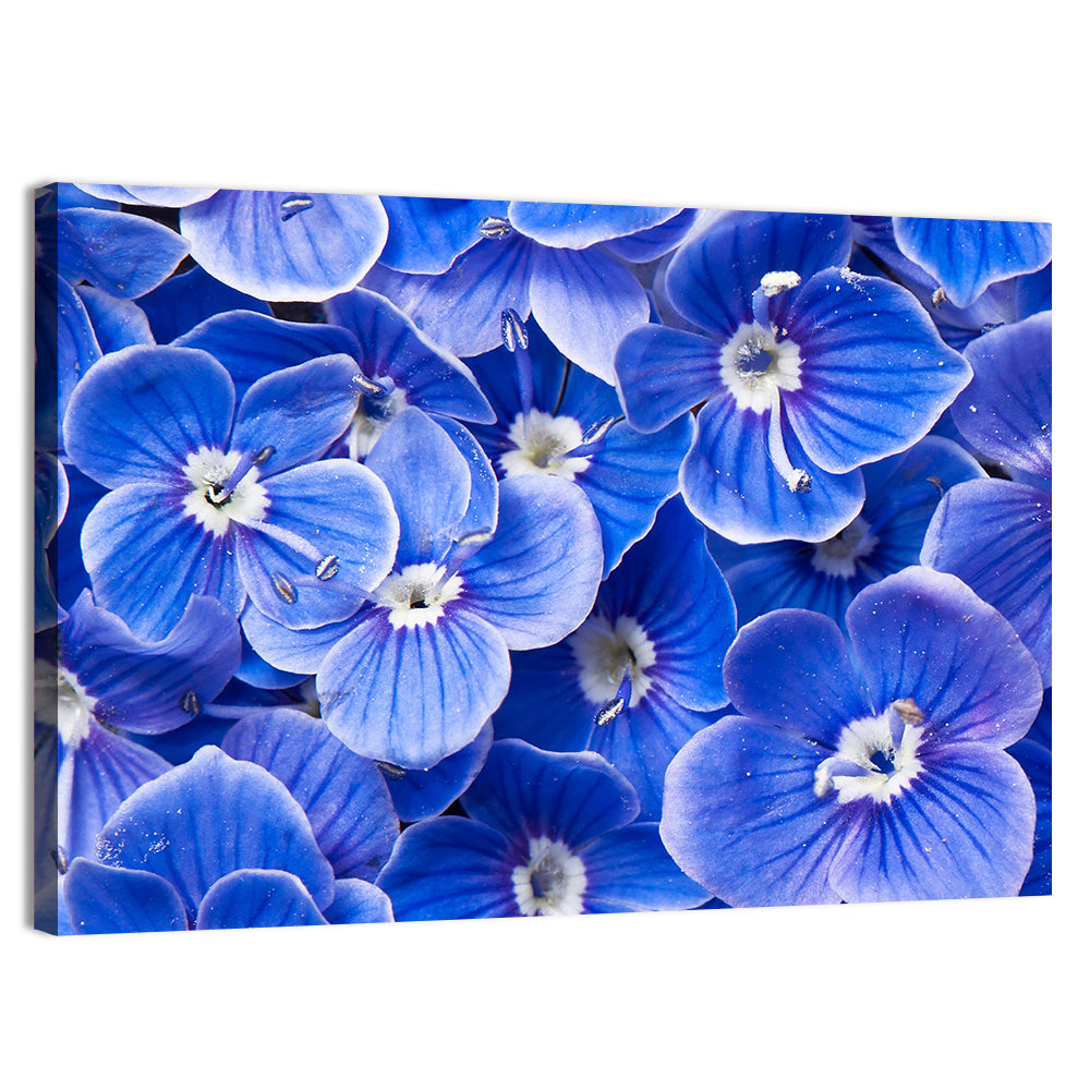 Blue Wildflower Close-up Wall Art