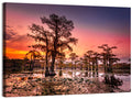 Caddo Lake Cypress Sunset Wall Art