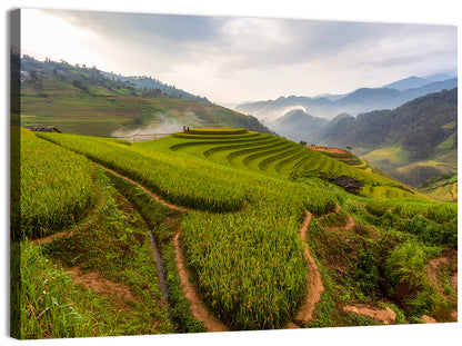 Terraced Rice Paddy Field Wall Art