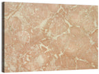 Fossil Veins Marble Study Wall Art