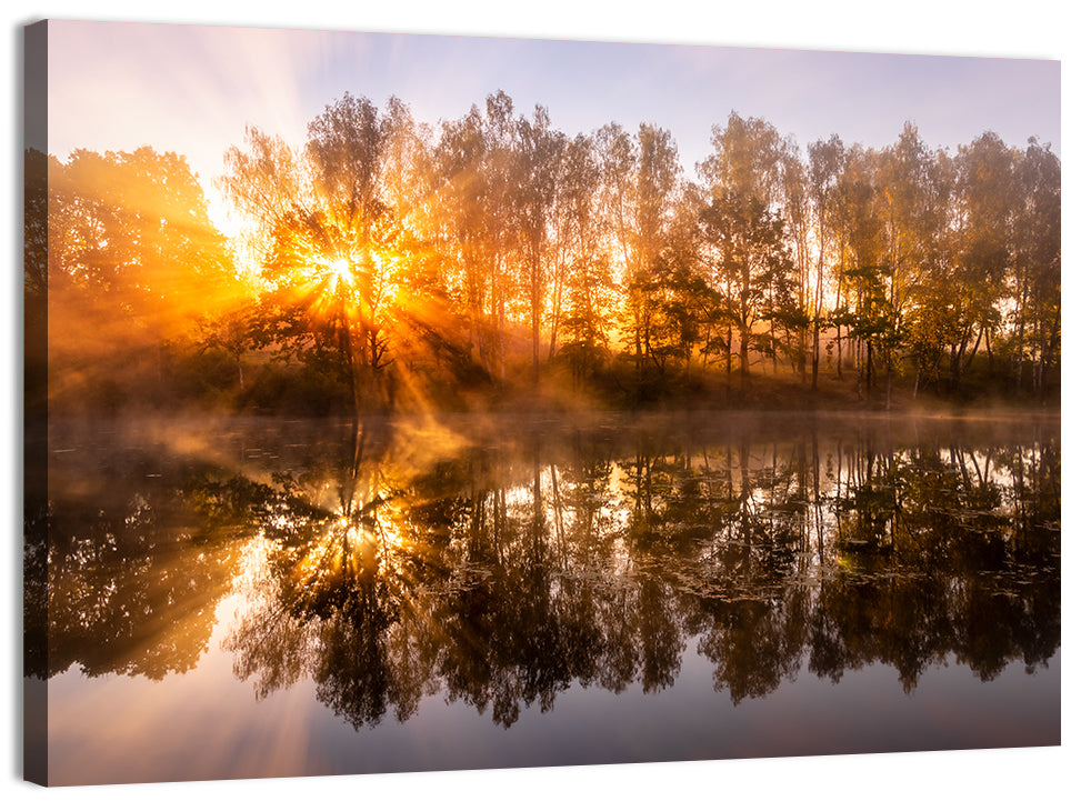 Misty Sunrise Over Pond Wall Art, canvas print, landscape
