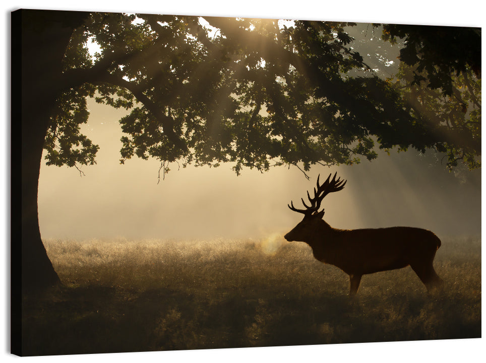 Misty Stag Silhouette Wall Art