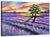 Lavender Field Sunset Wall Art