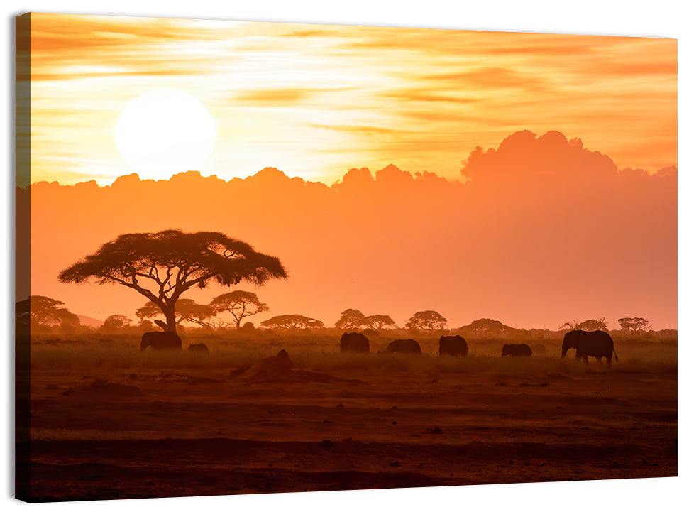 African Elephant Herd at Sunset Wall Art