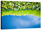 Aerial Blue Lake Over Woodland Wall Art