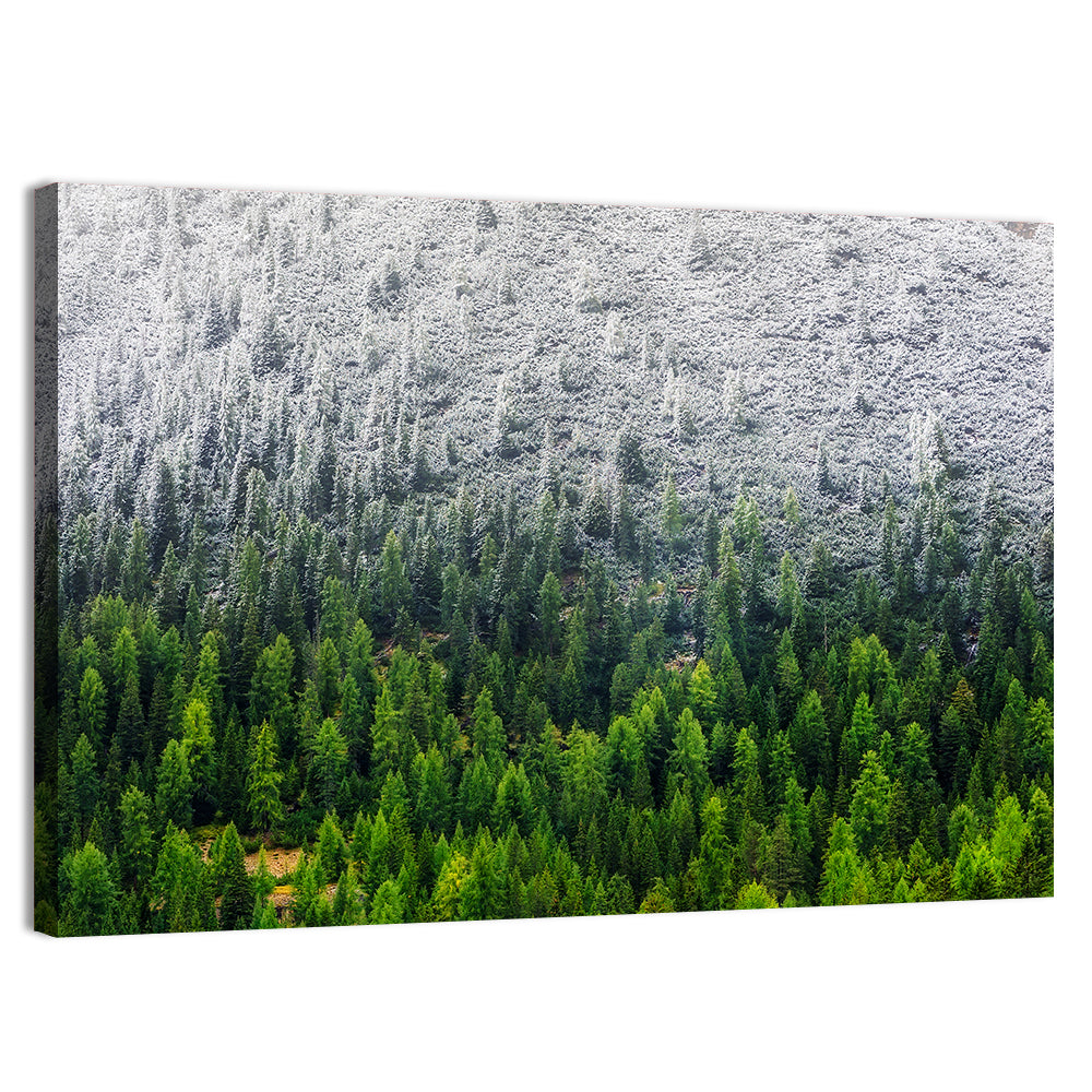 Snowy Dolomites Forest Wall Art