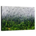 Snowy Dolomites Forest Wall Art