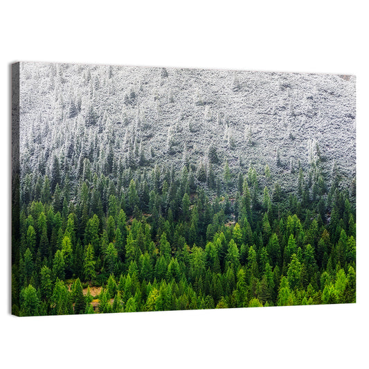 Snowy Dolomites Winter Forest Wall Art