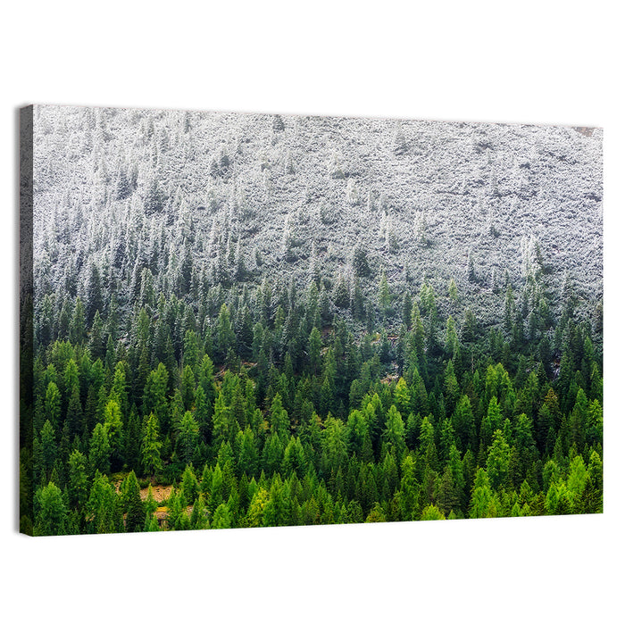 Snowy Dolomites Forest Wall Art as a canvas print