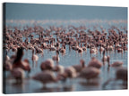 Flamingos at Lake Bagoria Wall Art