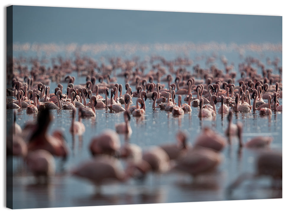 Flamingos at Lake Bagoria Wall Art
