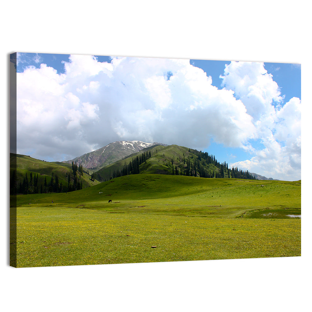 Seri Paya Mountain Meadow Wall Art