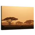 Amboseli Savanna Sunset Wall Art