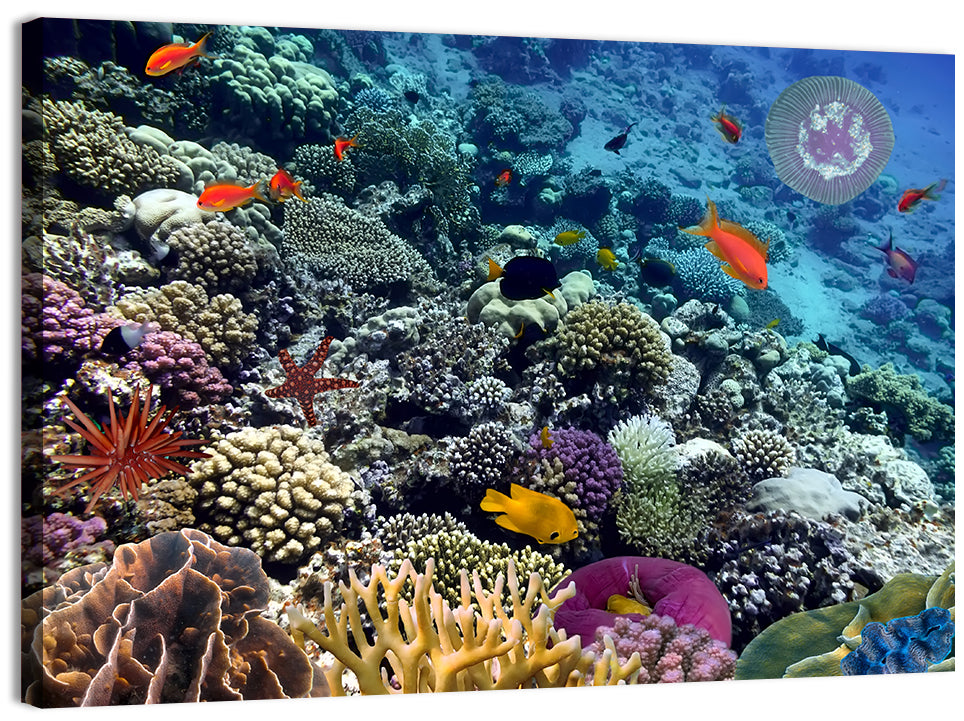 Vibrant Coral Reef Scene Wall Art