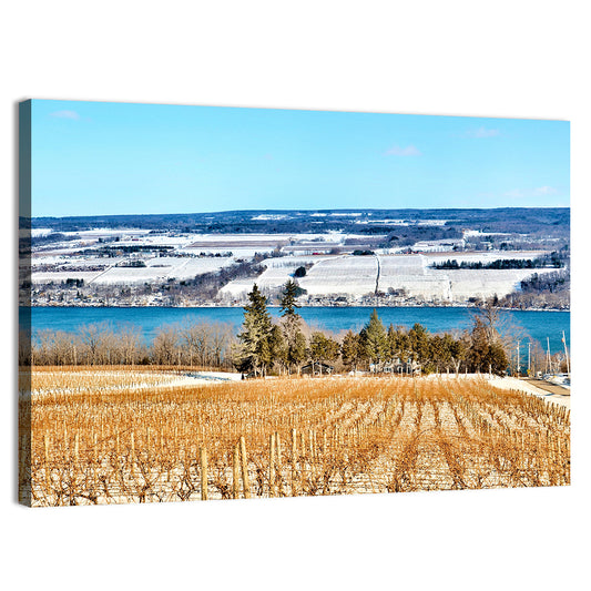 Seneca Lake Vineyard Wall Art