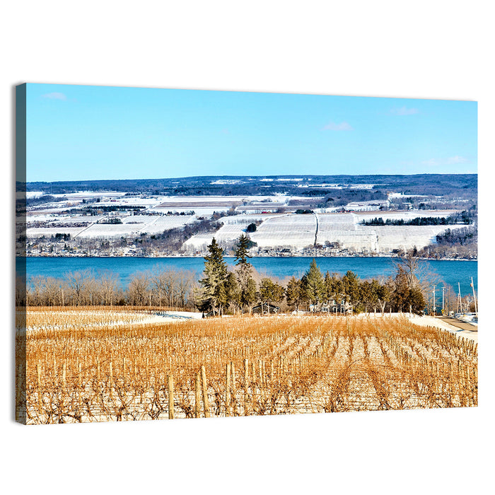 Seneca Lake Vineyard Wall Art as a canvas print
