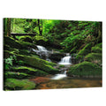 Mossy Rainforest Stream Wall Art