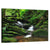 Rainforest Stream Wall Art