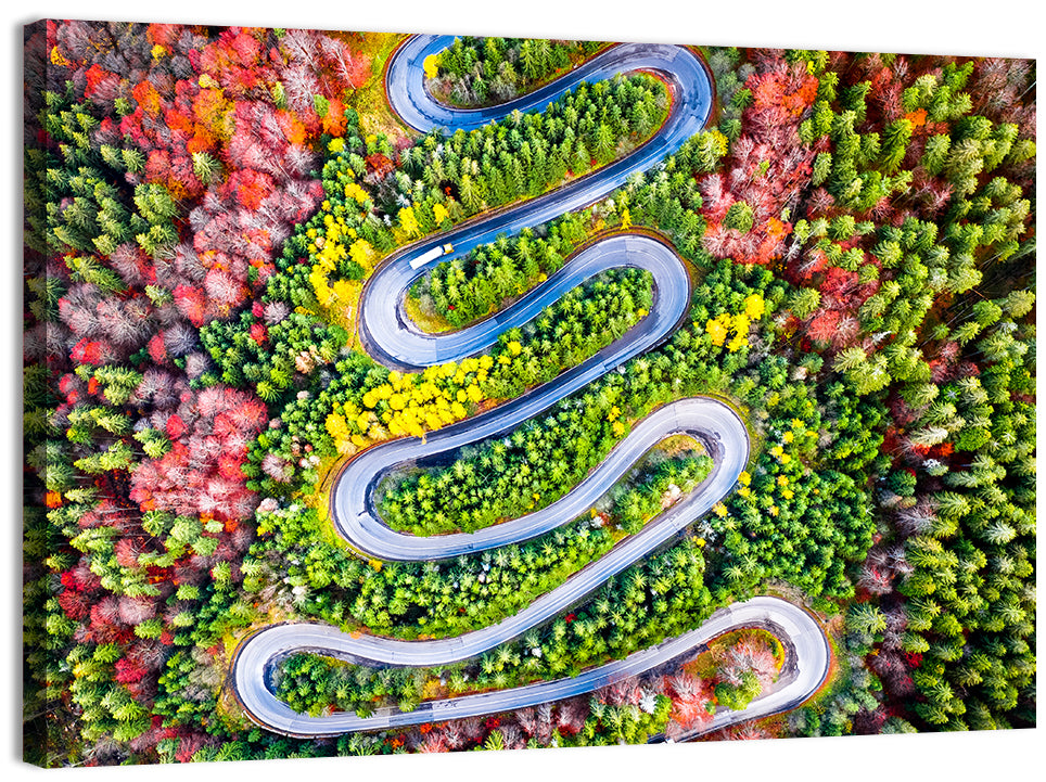 Cheia Autumn Winding Road Wall Art