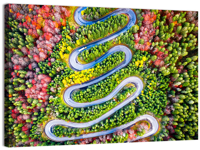 Cheia Autumn Winding Road Wall Art as a canvas print
