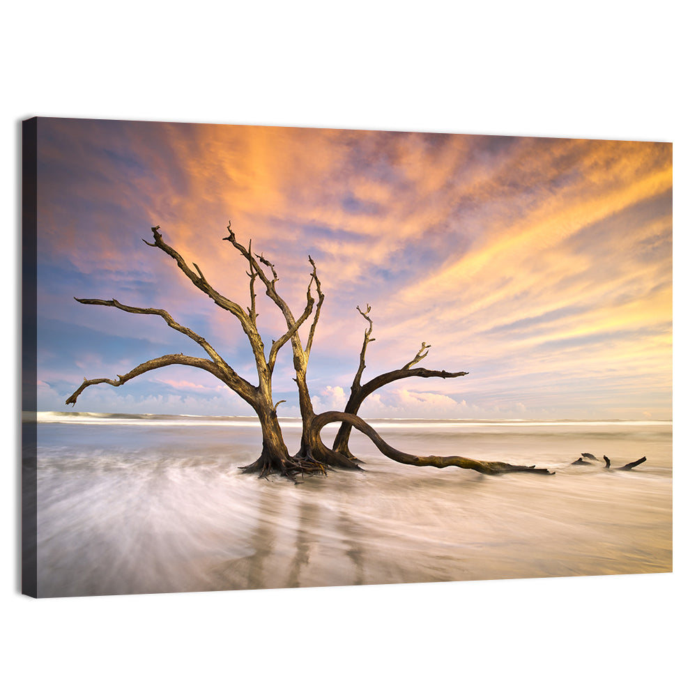 Folly Beach Driftwood Sunset Wall Art, canvas print, landscape