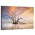 Folly Beach Driftwood Sunset Wall Art