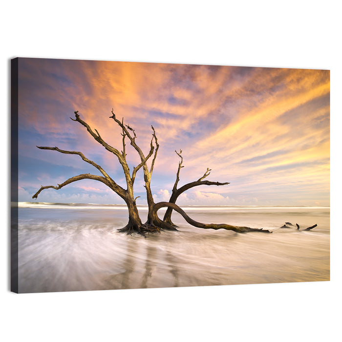 Folly Beach Driftwood Sunset Wall Art as a canvas print