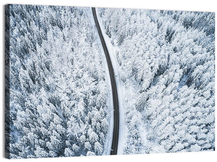 Winding Snow-covered Forest Road Wall Art as a canvas print