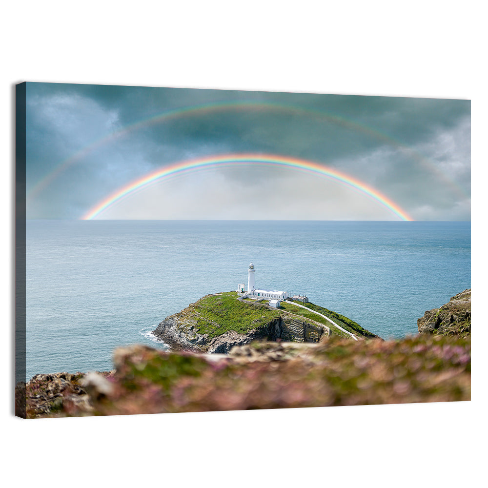 Peninsular Coastline Wall Art