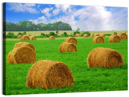 Hay Bales Wall Art